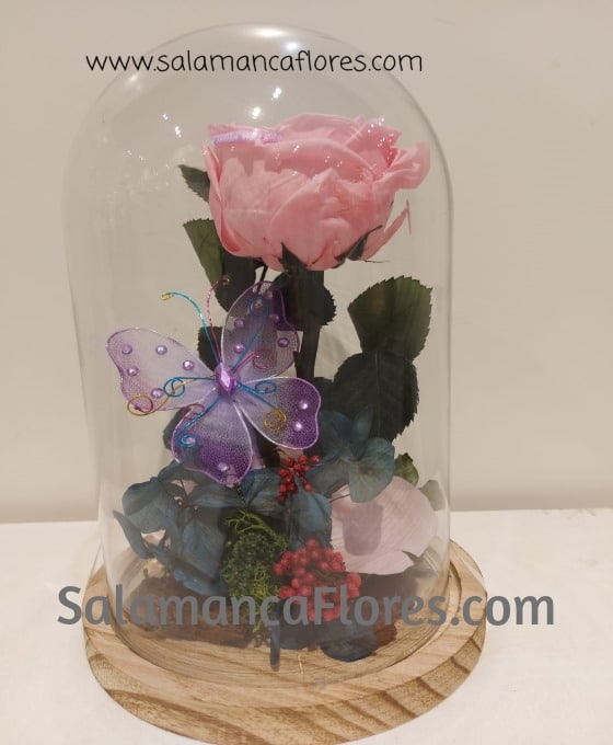Cúpula de Cristal con Flores Preservadas - Vlomma Estudio floral