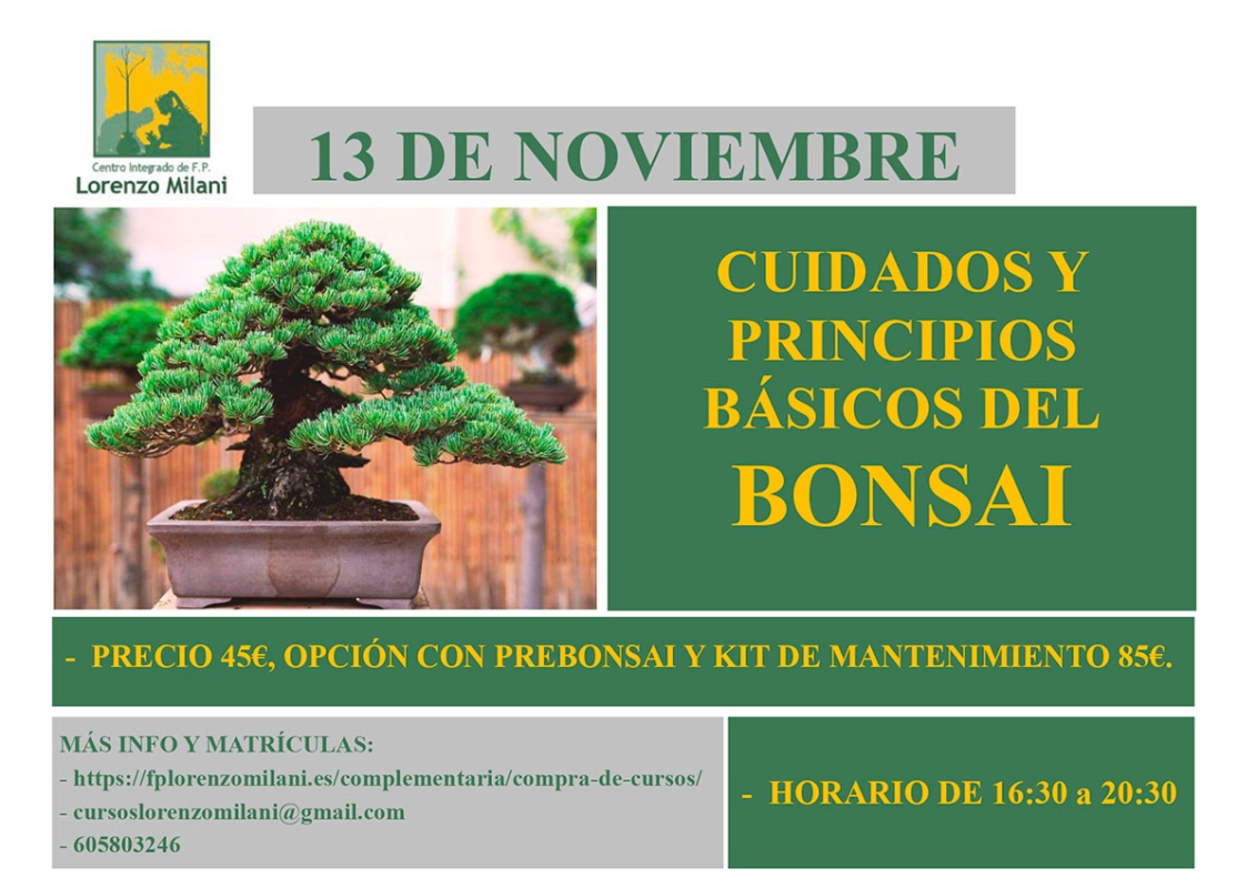 Formación Cuidados y Principios básicos del Bonsái