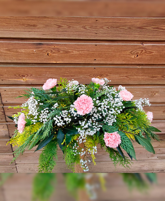 Centro Docena Clavel